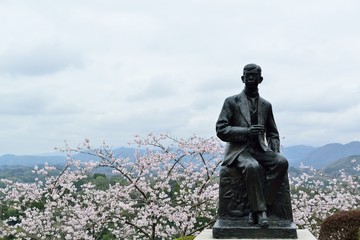 岡城の桜