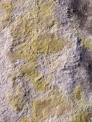 Chile Atacama South Ameria desert