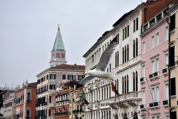 Campanile di san marco venezia