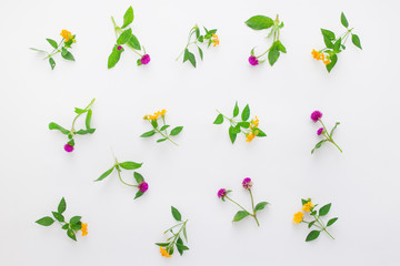 Floral pattern with pink clover and yellow wildflowers on white background. Flat lay, top view.