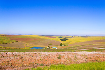 A view of the Valley of a Thousand hills near Durban, South Africa