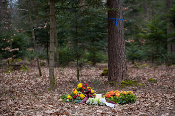 Friedwald/Ruhewald,Beerdigung im Wald
