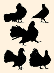 Pigeon, dove detail silhouette 04. Good use for symbol, logo, mascot, web icon, sign, or any design you want.