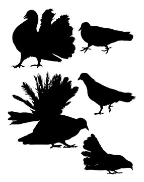 Pigeon, dove detail silhouette 03. Good use for symbol, logo, mascot, web icon, sign, or any design you want.