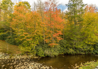 Fall foliage Blue Ridge Parkway at Mountain Stream