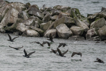 Flying under the radar - Fliegen unter dem Radar