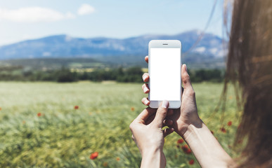 Hipster photograph on digital smart phone or technology, mock up of blank screen. Girl using mobile on red poppies flowers and cones background. Hands holding gadget on blurred backdrop