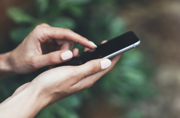 Female hands using smartphone isolated on background green nature wall mockup, hipster manager holding mobile gadget, person text message outside, connect content, close mock up