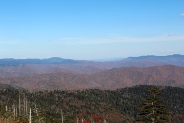 The colors of autumn in the smoky mountains.