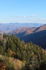 Sunny autumn day in the smoky mountains.