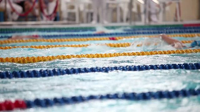 Swimming freestyle womans low angle view  close to