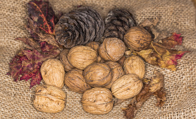 Walnuts, pine cones and dry red leaves