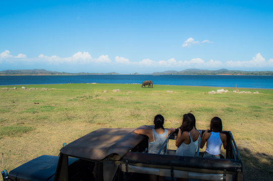 Safari Humans Spotting an Elephant at the Waterhole of Minneriya National Park in Sri Lanka