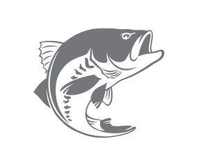 bass fish