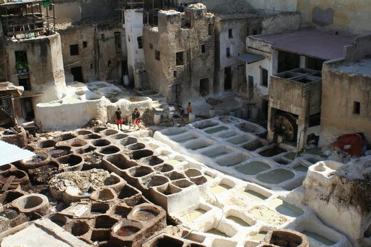 Tannery in Marrakech, Morocco