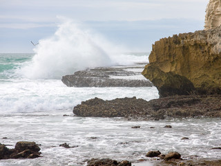 A wave crashes against a rock near Arniston in the Southern Cape as a seagull flies nearby