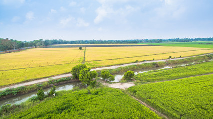 Fototapeta na wymiar water from dam use for grown rice