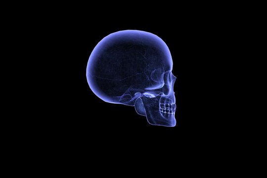 Skull Hologram Animation Alpha Channel.mov