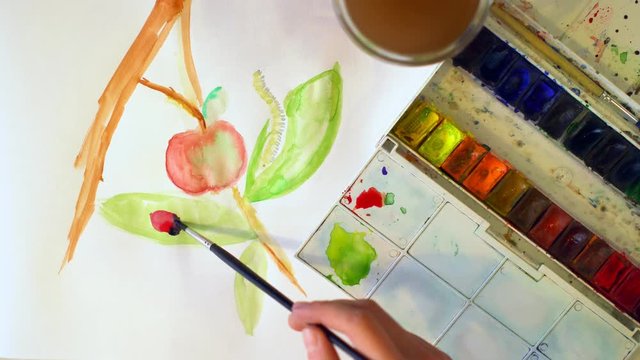A young girl draws watercolor paint on a white sheet of paper. Using a brush. Ladybug. Top view.