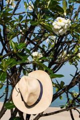 Frangipani flowers & hat on beach