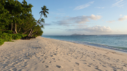 Seychellen, Silhouette, Strand, einsam, Sonnenaufgang