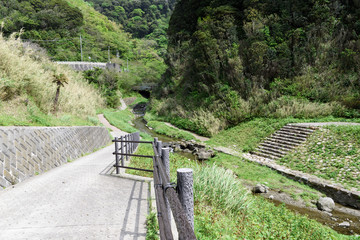 Fototapeta premium 里山 小川 森林