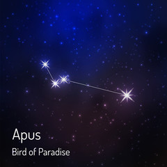 Constellation in the night starry sky