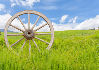  roue de charrette dans les herbes à la campagne 