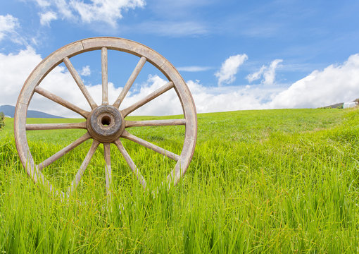  roue de charrette dans les herbes &agrave; la campagne 