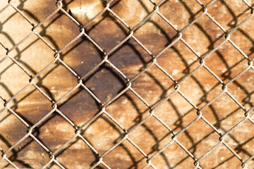 Fototapeta premium metal mesh on the wood background