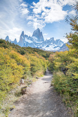 Naklejka premium Trail leading to the Laguna de Los Tres at the base of Mount Fitz Roy in Argentina Patagonia
