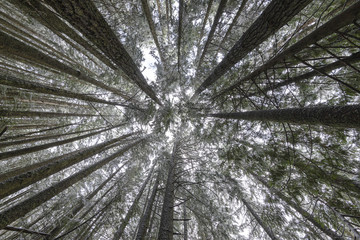 Fraser Valley Mountains and Waterfalls © Jason