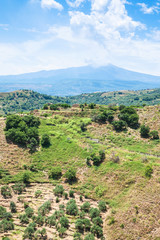 Fototapeta na wymiar green mountain slope and Etna mount in Sicily
