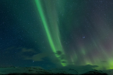 the northern lights as seen in Iceland