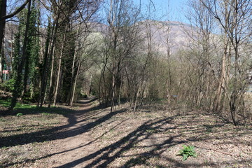 Sentier au bord de l'Isère