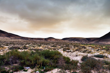 paysage volcanique