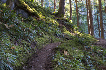 Fraser Valley Mountains and Waterfalls