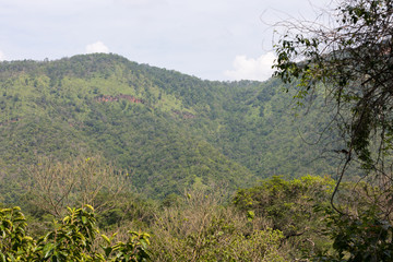 Landscape of nature on hillside