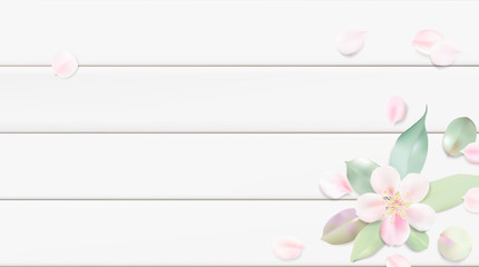 Pastel background with flower leaves.