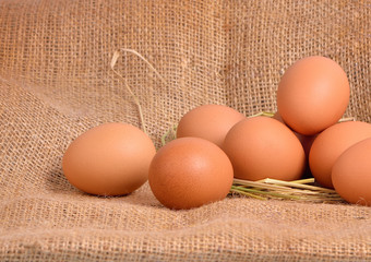 Chicken Egg , egg on a brown sackcloth
