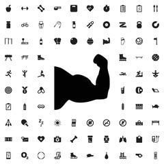 Muscle arm icon illustration