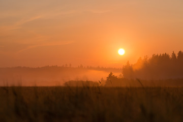 Red sundown over wheat field