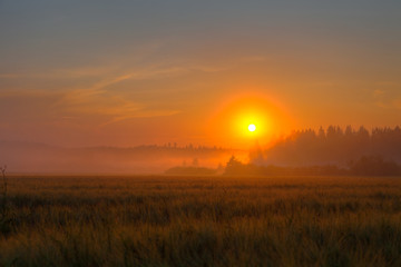 Red sundown over wheat field