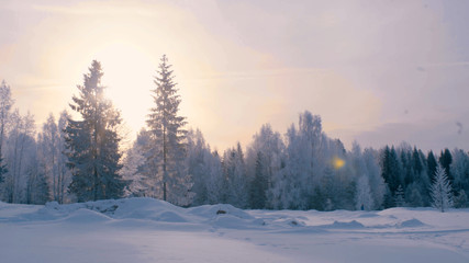 Winter forest in a hoarfrost.