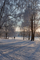 Naklejka premium Park and a lake on winter day