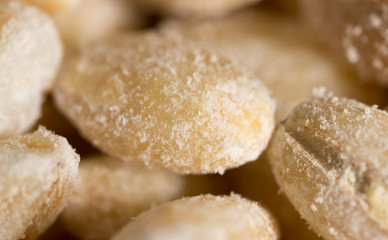 barley as background. macro