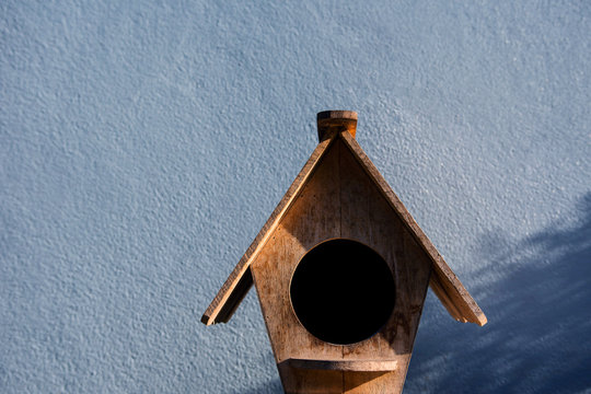 Birdhouse In City