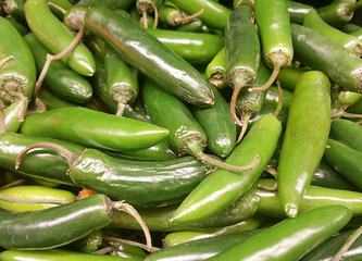 Serrano Peppers