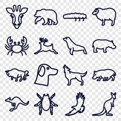 Fototapeta premium Set of 16 wildlife outline icons