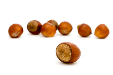 Hazelnuts on white